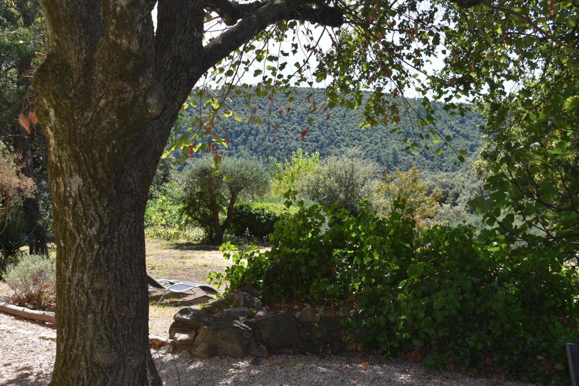 Villa La Figalie à Saint Jean du Pin Extérieur photo